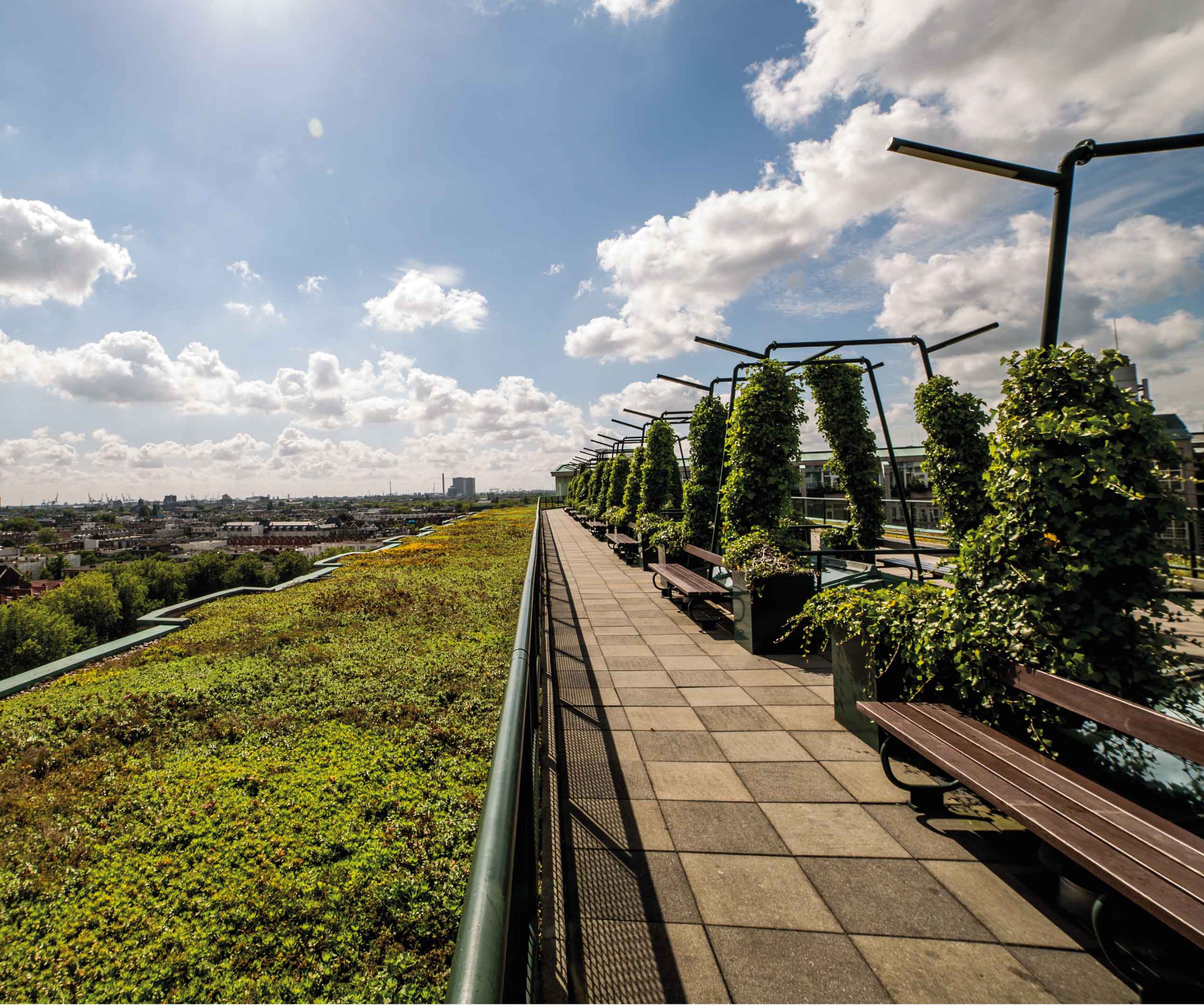Groene werkomgeving